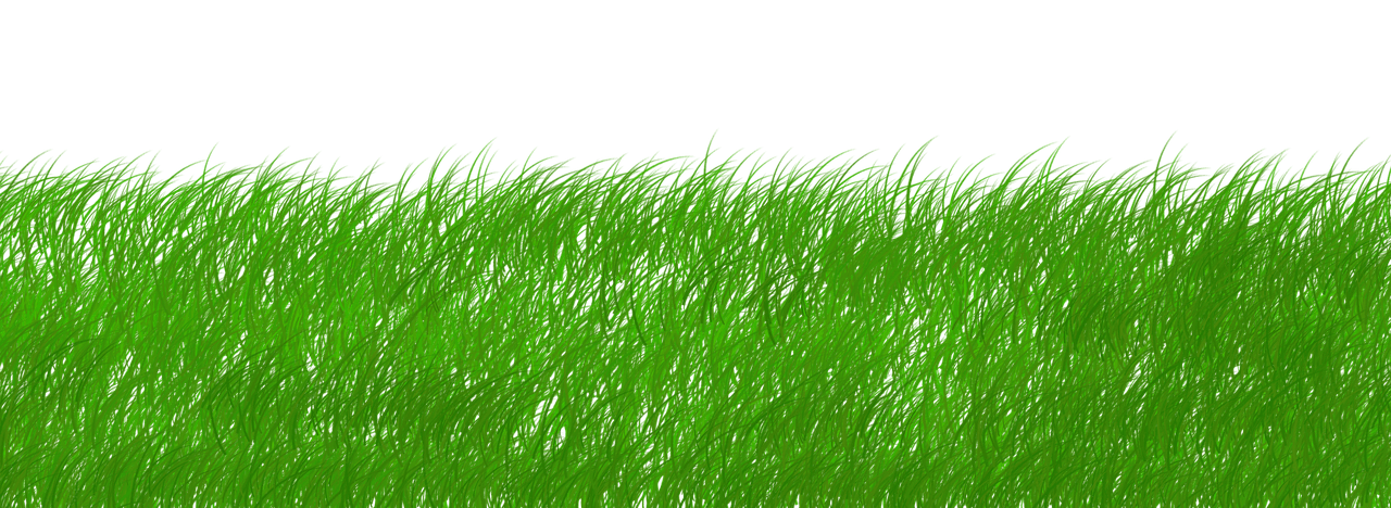 entdecken sie nachhaltige praktiken und produkte, die die umwelt schützen und eine bessere zukunft für kommende generationen gewährleisten. erfahren sie, wie nachhaltigkeit in ihrem alltag umgesetzt werden kann.