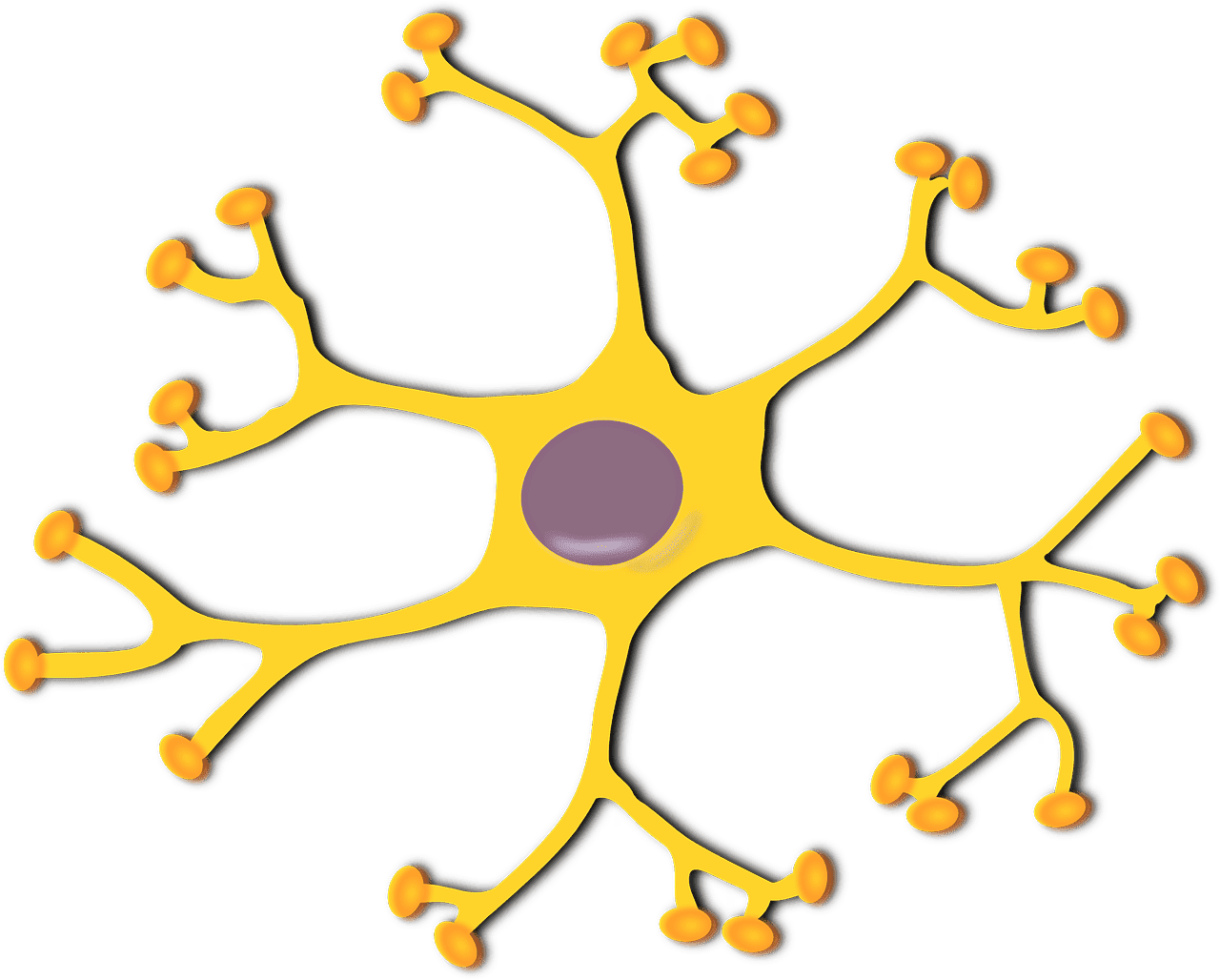 entdecken sie die faszinierende welt der kognition! erfahren sie, wie unser gehirn funktioniert, gedanken entsteht und entscheidungsprozesse ablaufen. tauchen sie ein in die forschung über wahrnehmung, gedächtnis und intelligenz und erweitern sie ihr wissen über die menschliche denkfähigkeit.